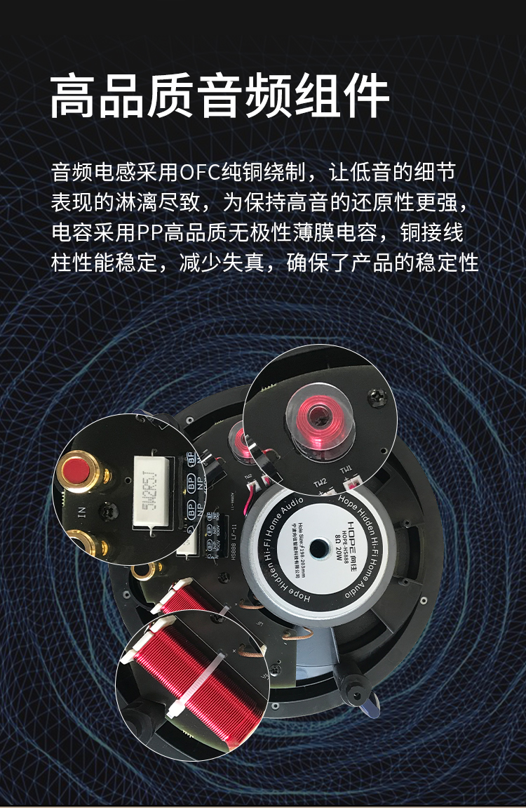 hs888_09.jpg