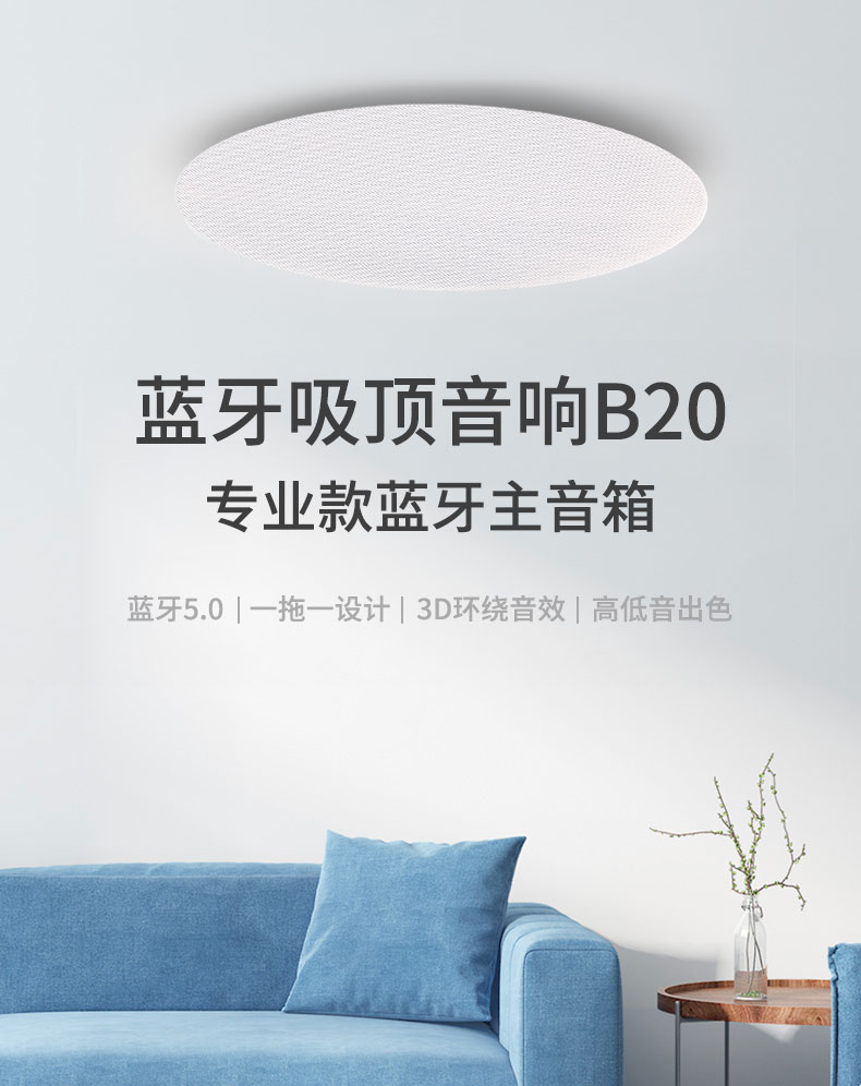 b20_01.jpg