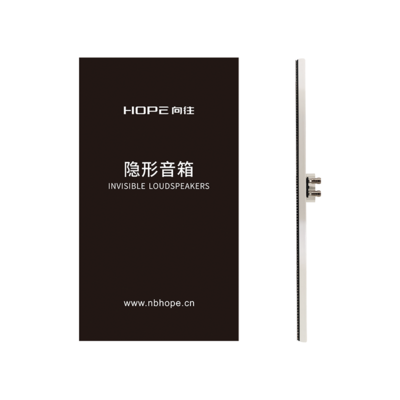 L2 嵌入式隐形音箱