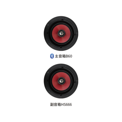 B66/B60套装 蓝牙背景音乐系统