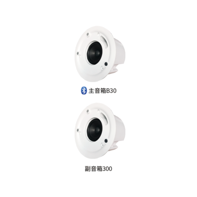 B30套装 蓝牙背景音乐系统
