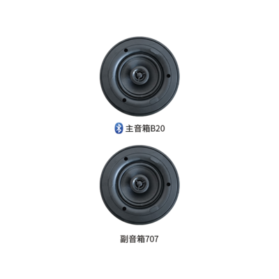 B44/B20套装 蓝牙背景音乐系统